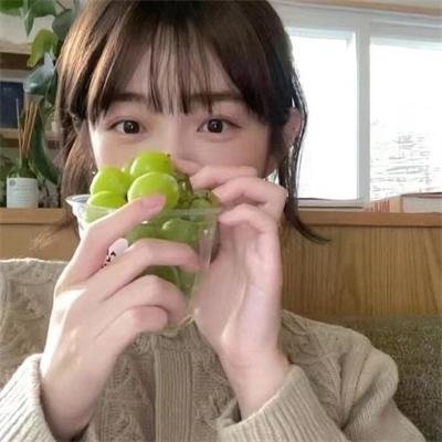 春满凤城