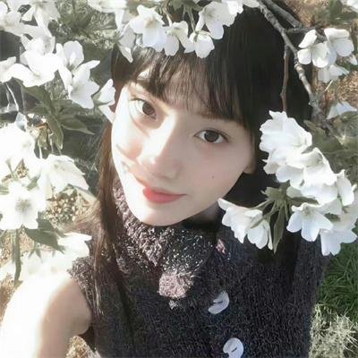 森之传说